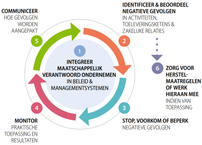 Figuur: Due diligence (gepaste zorgvuldigheid) volgens de OESO-richtlijnen